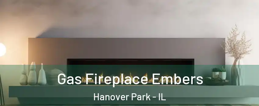  Gas Fireplace Embers Hanover Park - IL